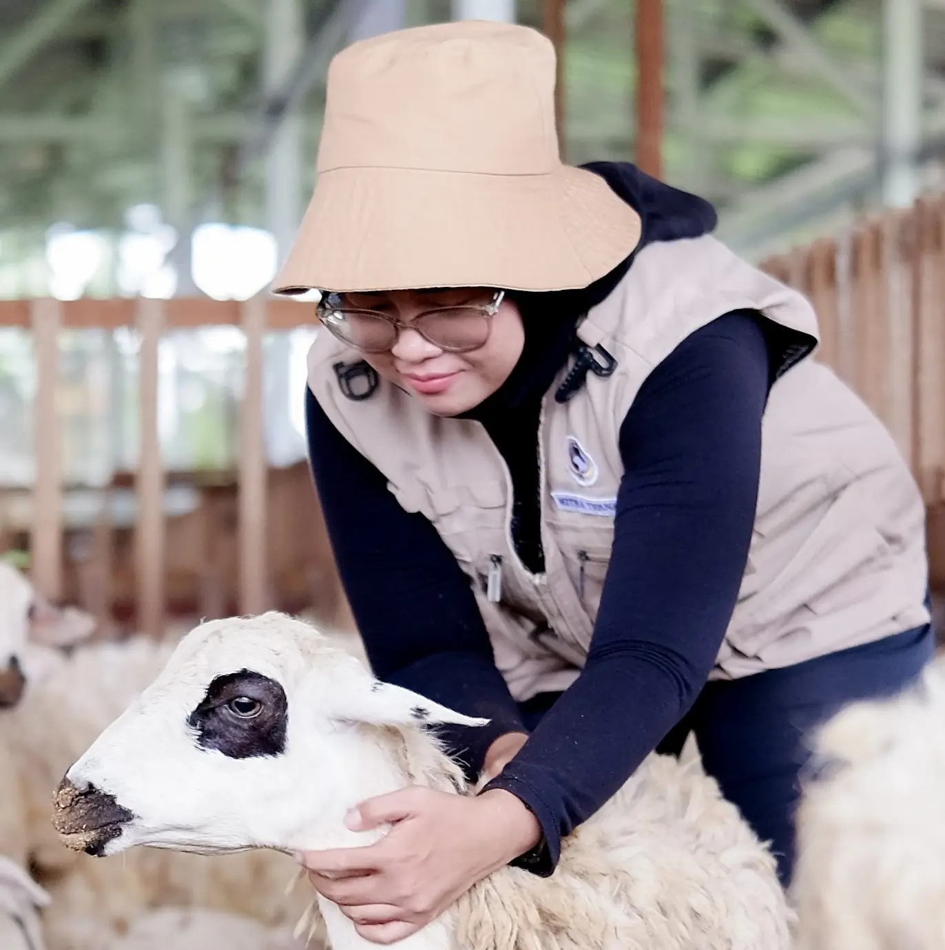 Gambar Qurban